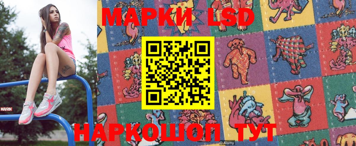 Наркотические марки 1,5мг  Наркотические марки 1,5мг  Наркотические марки  Вход с VPN  Знаменск 