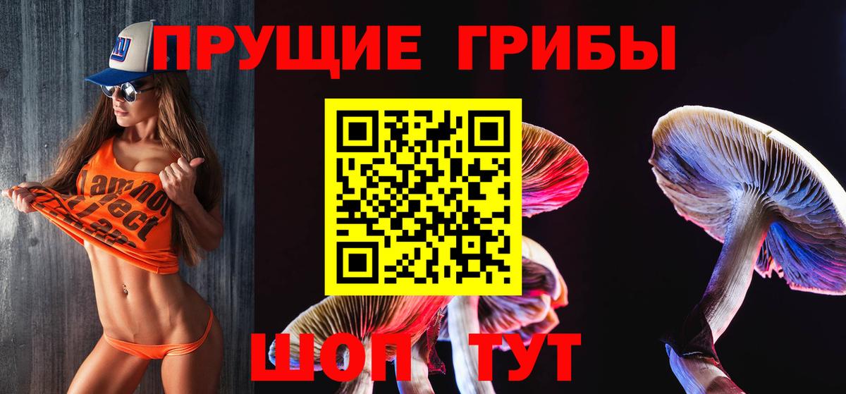 где найти   Псилоцибиновые грибы мухоморы  Вход с VPN  Знаменск 
